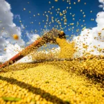 Produção agrícola brasileira superou R$ 927 bilhões em 2025