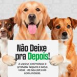 Primavera do Leste terá vacinação contra raiva para cães e gatos nos dias 12 e 19
