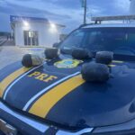 Homem é preso com 6,6 kg de skunk em ônibus na BR-364, em Pedra Preta