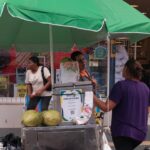 Pesquisadores descrevem nova espécie de rã-de-vidro no Cerrado