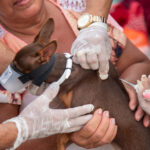 SIPAT reúne colaboradores da Morro da Mesa e Pavimat em dia dedicado à segurança, saúde e prevenção
