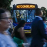 Pesquisadores descrevem nova espécie de rã-de-vidro no Cerrado