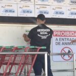 KNN leva inglês para aulas de dança e amplia experiência de crianças em Primavera do Leste