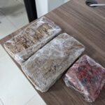 Ponte do Jardim Alvorada deve sair do papel; licitação está marcada para dezembro