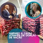 RAIO apreende quase 400 cigarros eletrônicos avaliados em R$ 100 mil em Primavera do Leste