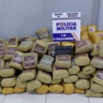 Polícia Militar apreende super maconha escondido em carga de milho em Alto Araguaia