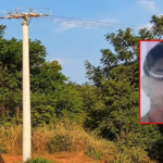 Projeto de Thiago Silva que cria Cartão Material Escolar é aprovado pela ALMT