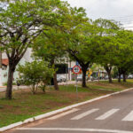 CineClube Primavera atinge metade da programação celebrando o audiovisual mato-grossense